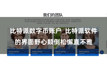 比特派数字币账户  比特派软件的界面野心颠倒松懈直不雅